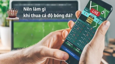 Nên làm gì khi thua cá độ bóng đá? Lời khuyên từ chuyên gia cá độ